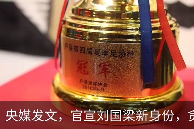 央媒发文，官宣刘国梁新身份，贪腐被带走传闻早已真相大白