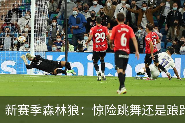 新赛季森林狼：惊险跳舞还是踉跄前行？